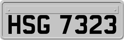 HSG7323