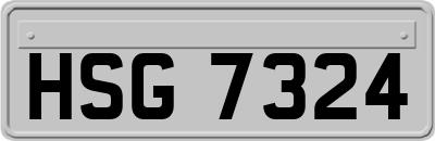 HSG7324
