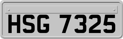HSG7325