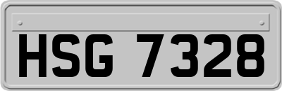 HSG7328