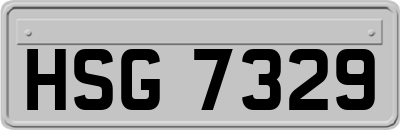 HSG7329