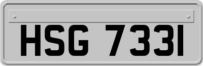 HSG7331