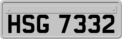 HSG7332