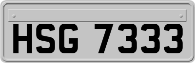 HSG7333
