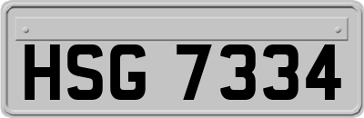 HSG7334
