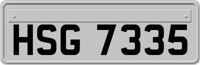 HSG7335