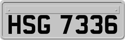 HSG7336