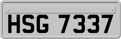 HSG7337