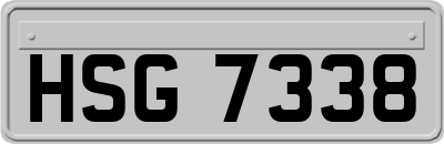 HSG7338
