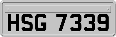 HSG7339