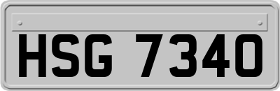 HSG7340