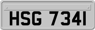 HSG7341