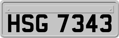 HSG7343