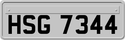 HSG7344