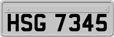 HSG7345
