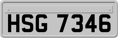 HSG7346