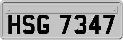 HSG7347
