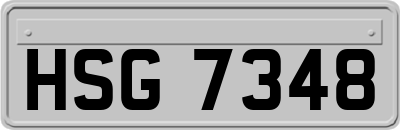 HSG7348