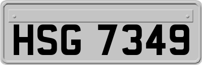 HSG7349