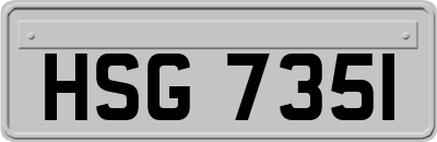 HSG7351