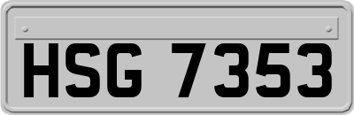 HSG7353
