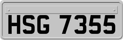 HSG7355