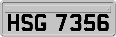 HSG7356