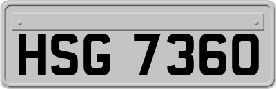 HSG7360