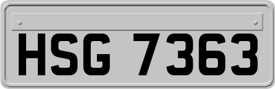 HSG7363