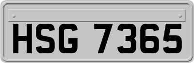 HSG7365