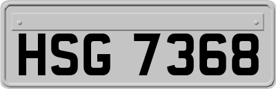 HSG7368