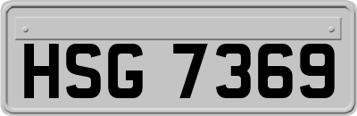 HSG7369