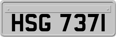 HSG7371