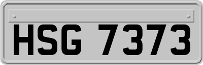 HSG7373