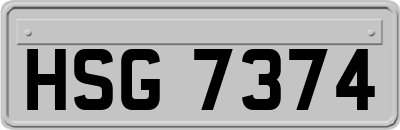 HSG7374