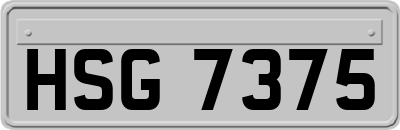HSG7375