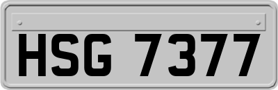 HSG7377