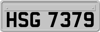 HSG7379