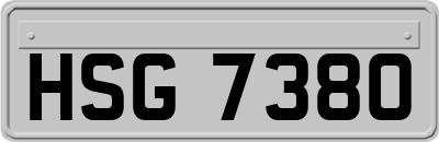 HSG7380
