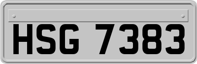 HSG7383