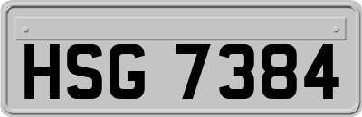 HSG7384