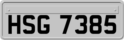 HSG7385