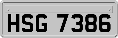 HSG7386