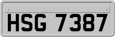 HSG7387