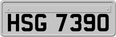 HSG7390