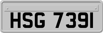HSG7391