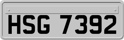 HSG7392