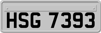 HSG7393