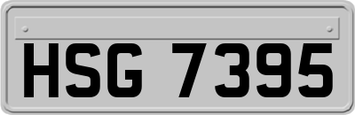 HSG7395