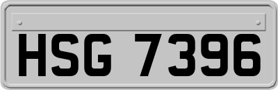 HSG7396